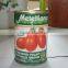 China Hot Sale Good Quantity Canned Tomato Paste