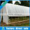 Small size and greenhouse for tomato,single-span agricultural greenhouses type plastic greenhouse