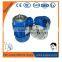 Perfect Harmony three phase induction motor