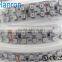 Double row Silicone Tube LED strip 24V Blue 240Leds SMD 3528 flex led strip tape light