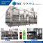 Cost effective Automatic PET Bottle Carbonated Water Filling Machine