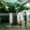 large indoor ficus tree fiberglass trunk tree artificial ficus tree