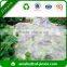 Polypropylene non-woven fabric breathable anti-frost biodegradable ground cover /row cover blanket
