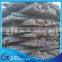 16mm reinforced deformed steel rebar, rebar steel price