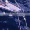 High Quality Stainless Steel 316 Bowsprit Ladder Boarding Ladder 2 Step