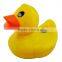 animal shape cartoon floating thermometer,alarm floating bath thermometer,floating thermometer