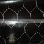 Galvanized Hexagonal Wire Netting/pvc coated hexagonal wire mesh/ Chicken wire netting facotry