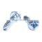 Professional Manufacturer High Strength nonstandard stainless steel metal screw
