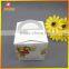 Customized Paper Wedding Clear Pvc Plastic Cupcake Boxes With Insert