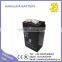 Deep Cycle 4v2ah SLA Battery Rechargeable for Emergency Lamp