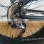 fat electric mountain bike with hidden battery 36V 15ah (HJ-M21 )