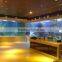 Modern Outdoor Marine Aquariums