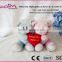 2016 Hot selling Fashion Cute Creation Valentine's gifts Wholesale Plush toy Bear with heart