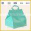 Sqare Shaped Insulated Clear Lunch Bag/cooler bag