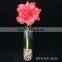 Natural rose flowers, cut flowers