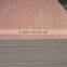 High quality okume plywood with cheap price/building construction material in China