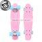 Light blue long skateboard for kids 2016