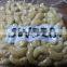 Cashew Nut Kernel Grade 2 SW320 Seller (emma@hanfimex.com)