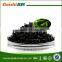 Hot sale delicious dried wakame recipes