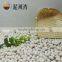 High quality white kidney beans Medium size 2016 crop