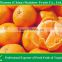 Mandarin orange from China