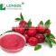 Drum,Vacuum Packed Antioxidant Cranberry/bilberry/blueberry Powder Extract