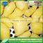 Big exporter,export frozen ginger