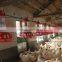 Breeder Pan Feeder for Chicken Farm Equipments