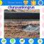Agriculture drip irrigation system for crops /fruits/trees