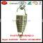 Dongguan Factory OEM Hammock Chair Extension Spring with Nickel Plating