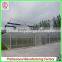 Plastic Film Commercial Greenhouse for Tomatoes With Arched Type