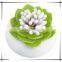 household plastic color eco-friendly lotus toothpick /cotton bud holder