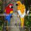 Artificial resin hanging parrot outdoor decoration