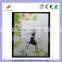 Beautiful and Decorative Glass Picture Frame Moulding 3.5"x5"