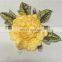 Sew-On Style And Patches Product Type Embroidery Patch for Saree