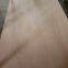 commercial plywood 15mm Okoume plywood