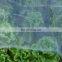 transparent anti insect net mesh 50 for vegetable