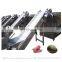Stainless Steel Kiwi Potato Mango Fruit Grading And Sorting Machine Price