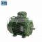 WEG brand W21 three phase Multi voltage IE2 cast iron motor