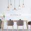 Environmental protection modern european style pendant lamp modern  pendant lamp