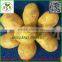 2016 China Fresh Potato/Yellow Potato