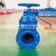 150mm Pn16 Double Flange Elastic Seal Gate Valve