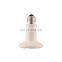 75*75mm 100w CE Approved E27 cap ceramic far infrared emitter