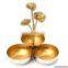 gold antique bowl for party