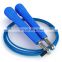 Custom Adjustable Skipping Jump Rope PVC Aluminum Alloy Handle High Speed Heavy Weighted Jump Ropes
