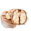 mango blanched 2021 walnut 185 kernal kernal green walnut with flavour seedlingw indian squirrel pecan walnut seeds