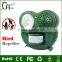 GH-503 New products pest control cheaper pest repellent sound bird problem solar bird scare pest control