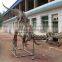 Museum High Quality Dinosaur Skeleton
