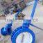 Flanged Double eccentric butterfly valve with gearbox and extension spindle