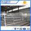 Large scale poultry equipment layer chicken cage